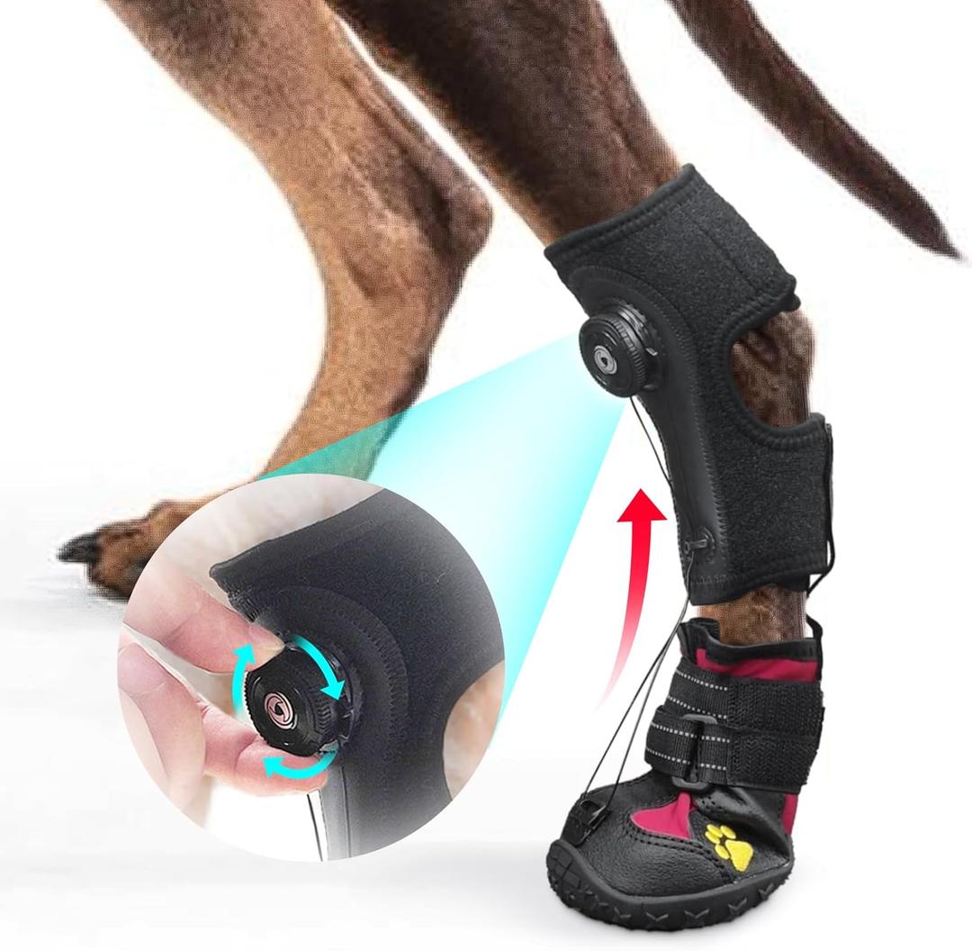 Drop Foot Brace with Reel(No Knuckling Boot Brace) for Dog - Corrective Dog Shoes to Safely Lift Toes for Foot Issues, Arthritis, and improving Walking gait in Dogs,Patent Pending(M)