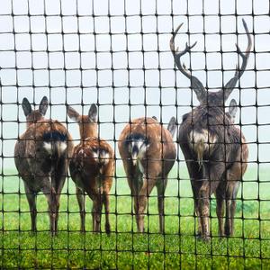 Woanger 7.5' x 165' Deer Fence Netting 55 gr/sq m Animal Fence Barrier Netting 0.87" Square Mesh Heavy Duty Deer Barrier for Shrubs Fruit Tree Poultry for Against Hawk Squirrel, Black