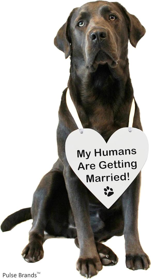 Pulse Brands Engagement Photo Prop Sign - My Humans are Getting Married - Engagement Gifts - Bride to Be - Engaged - Engagement Gifts for Couples (White)