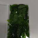 LITMIND 120 Pieces Olive Green Textured Transparent Mosaic Glass Petals & Leaves in 2 Sizes, Hand-Cut Stained Glass Mosaic Tiles for Crafts - Ideal for Mosaic Art Projects and Home Dcor