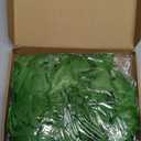 Skylety Hawaiian Leaf Hula Skirt and Leis Set Include Tropical Headband Fern Leaf Wristlet Green Grass Hula Skirt for Hawaiian Costume Halloween Luau Party Supplies for Adult Women