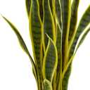 Nearly Natural 26 in. Sansevieria Artificial Silk Plants, Green