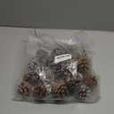 Fovths 24 Pieces Christmas Pine Cones Pick Pinecones Ornament Christmas Tree Decoration 2.4-3.1 Inches Pine Cones for Home Party Christmas Crafts (White, Natural)