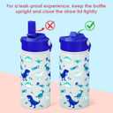 Kid Water Bottle 12oz with Straw Lid - 2-Pack Insulated Stainless Steel Water Bottles for Kids Girls - Travel Cup for Back to School Sports Christmas Birthday (Solar System & Dinosaur)
