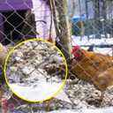 4 Inch 40 Pack 11 Gauge U - Shape Garden Stakes Set: Drip, Line & Irrigation Tubing Stakes, Galvanized Landscape Staples for Tube, Lawns, Weed Barriers, Landscape Fabrics, Irrigation Hose, Floor Mats