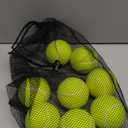 Tennis Balls for Dogs 16 Pack,2.5 inches,Durable and Non-Toxic Dog Toys Balls with Mesh Bag,Yellow Fetch Toys Balls for pet Dog (Non Squeaky)