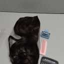 CJL HAIR 18" Long Ponytail Hair Extension Wrap Around Pony Tail Clip in Curly Wavy Synthetic Fake Hairpiece for Women Dark Brown