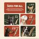 Heartland Elk Antlers for Dogs - Daily Dental Care Chews for Aggressive Chewers to Reduce Plaque & Prevent Destructive Behavior (Splinter Free, Whole, 8+", X-Large, 1-Pack, Grade A, USA Made)