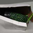 Tioncy 12 Pcs Turtle Cups Bulk 16 oz Birthday Party Favors with Straws and Lids Turtle Themed Green Tumbler Disposable Reusable Plastic Cups for Party Favors