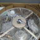 Gold Fandelier Ceiling Fans with Lights, 20" Gold Crystal Chandelier Ceiling Fan with Light Remote Control, Caged Mid Century with 6 Speeds for Bedroom, Living Room, Nursery