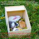 Rabbit Nesting Box, 18"x13"x12", Wood | 5" Entry Height, Fully Detachable Lid, For Breeding, Nursing & Nesting, For Rabbits, Chickens, Guinea Pigs, Chinchillas