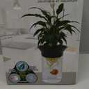 Penn-Plax (APON1) Aquaponic Planter and Aquarium for Betta Fish Tank Promotes Healthy Hydroponic Environment for Plants and Fish