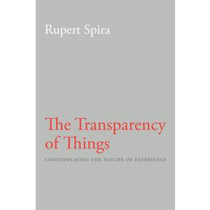 The Transparency of Things: Contemplating the Nature of Experience
