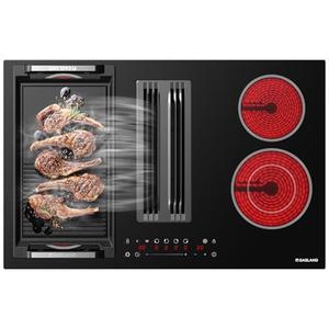 GASLAND Electric Downdraft Cooktop 31.5 Inch(80cm), 4 Burners Glass Radiant Stovetop 220V, 3-speed Max. 330 CFM Downdraft Exhaust