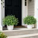 Set of 2 Artificial Boxwood Topiary Trees for Front Door - Faux Realistic Greenery Potted Plants, Fake Outdoor UV-Resistant Bushes with Pots for Porch,Farmhouse,Home,Garden Decor