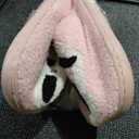 House Slippers, Soft Memory Foam Indoor Shoes with Elastic Fit, Cozy Warm Non-Slip Sole, Cute Animal Design for Bedroom, Living Room, Lounge, and Casual Home Use, Size 7.5