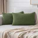 MIULEE Throw Pillow Covers Soft Corduroy Decorative Set of 2 Boho Striped Pillow Covers Pillowcases Farmhouse Home Decor for Couch Bed Sofa Living Room 12x20 Inch Moss Gree