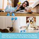 Double Suction Cup Dog Toys Set For Aggressive Chewers 100% Rubber (3 In 1), Teeth Cleaning Toothbrush Toy Stops Plaque & Tarter, Cherry Blossom Waste Bag Dispenser Bonus, Tug Of War Toy For Dog's IQ