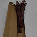 HIAGROW Real Red Eucalyptus Stems Decor 20PCS 17" Dried Willow Eucalyptus Plant Preserved Stems for Home Vase Filler Wedding Flowers Fall Arrangement Decorations