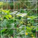 Tcamp Heavy-Duty Polyester Garden Trellis Netting Plant Climbing Net for Growing Vines Plants Vegetables Fruits Flowers, White Grow Tent (5Ft x15Ft, 3.5" Opening Mesh, 1 Pack)