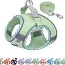 AIITLE Tiny Dog Harness - Lightweight Mesh Step-in Vest for Puppy, Reflective & Escape-Proof Design with High-Stick Magic Tape - Indoor/Outdoor Use for Chihuahua, Maltese, Shih Tzu(Sage, XXXS) (XXXS(Chest: 8.5 - 10"))