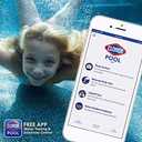 Clorox Pool&Spa Swimming Pool Sink to Clear Flocculant, Sinks Debris, Dead Algae, Large Particles & Other Matters to Pool Floor, 1 Quart (Pack of 1)