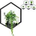Wall Planters for Indoor Plants 5 Pack, Plant Frames Wall Decor Living Room Plant Stand Hanging Wall Plants Holder to Hold Large Pots Wall Plant Hanger Window Plant Shelves for Outdoor Entryway