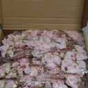 DH EYB 12 Pcs Artificial Cherry Blossom Flower,Silk Peach Fake Flowers for Decoration DIY Garden Wedding Party Home Decor (Pink, 12 Bundles)