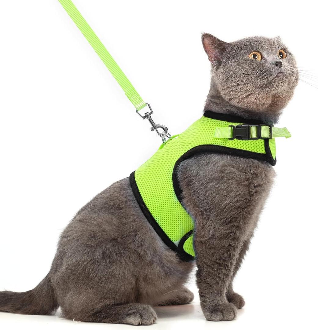 PUPTECK Soft Mesh Cat Vest Harness and Leash Set Puppy Padded Pet Harnesses Escape Proof for Cats Small Dogs Rabbits Bunny, Fluorescent Green XL (XL(NECK 10.5"-13", CHEST 14"-17", 10-17 lbs))