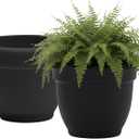 Bloem Ariana 12" Plastic Self-Watering Planter, Black, 2-Pack | Self-watering disk at the bottom of each pot that acts as a water wick and reservoir for optimal plant health