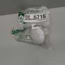 Watering Can Rose White