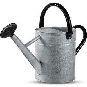 1 Gallon Watering Can for Plants, Watering Cans for Indoor&Outdoor Gardening, Galvanized Steel Watering Pot with Removable Spout, Metal Water Can with Ergonomic Movable Handle (Rustic Silver)