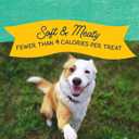 3 x Natural Balance Limited Ingredient Mini-Rewards Chicken Grain-Free, Training Treats for Dogs | 5.3-oz. Canister (EXP 01/27/26)