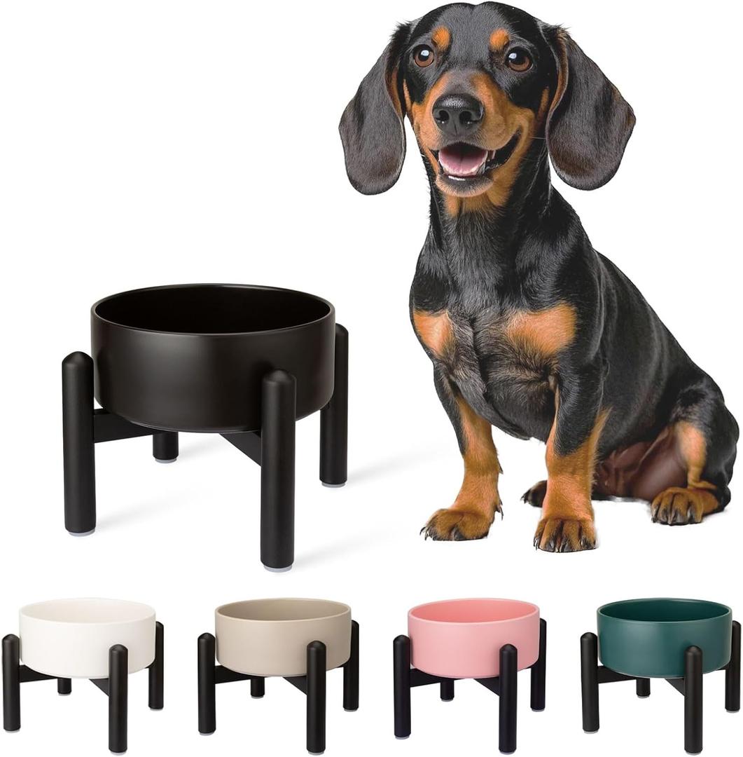 Raised Ceramic Dog Bowl - Elevated Food Water Dish with Stainless Steel Stand - for Small to Medium Dogs - 6 Inch - 2 Cups (28.75 fl oz) - Black, Medum 