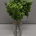 Zheart Fake Eucalyptus Stems in Glass Vase with Faux Water,14" Artificial Plants Eucalyptus Leaves for Shelf Desk Bathroom Farmhouse Room Coffee Table Home Decor (Sage Green)