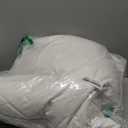 Three Geese White Goose Feather Down Pillows Standard Size Set of 1-100% Cotton, Medium Firm,Soft Support