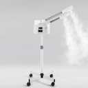 Artist hand Facial Steamer Professional 2 in 1 Hot and Cold Facial Steamer for Esthetician, Face Steamer for Facial Deep Cleansing, Fast Heating Moisturizing for Beauty Salon Spa Home Use, Size: White Hot & Cold