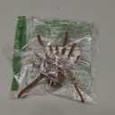 Tipmant Electric Spider Tarantula Animal Toy Vibration Crawling Pets Cat Dog Puppy Teasing Toys Prank Scary Kids Gifts