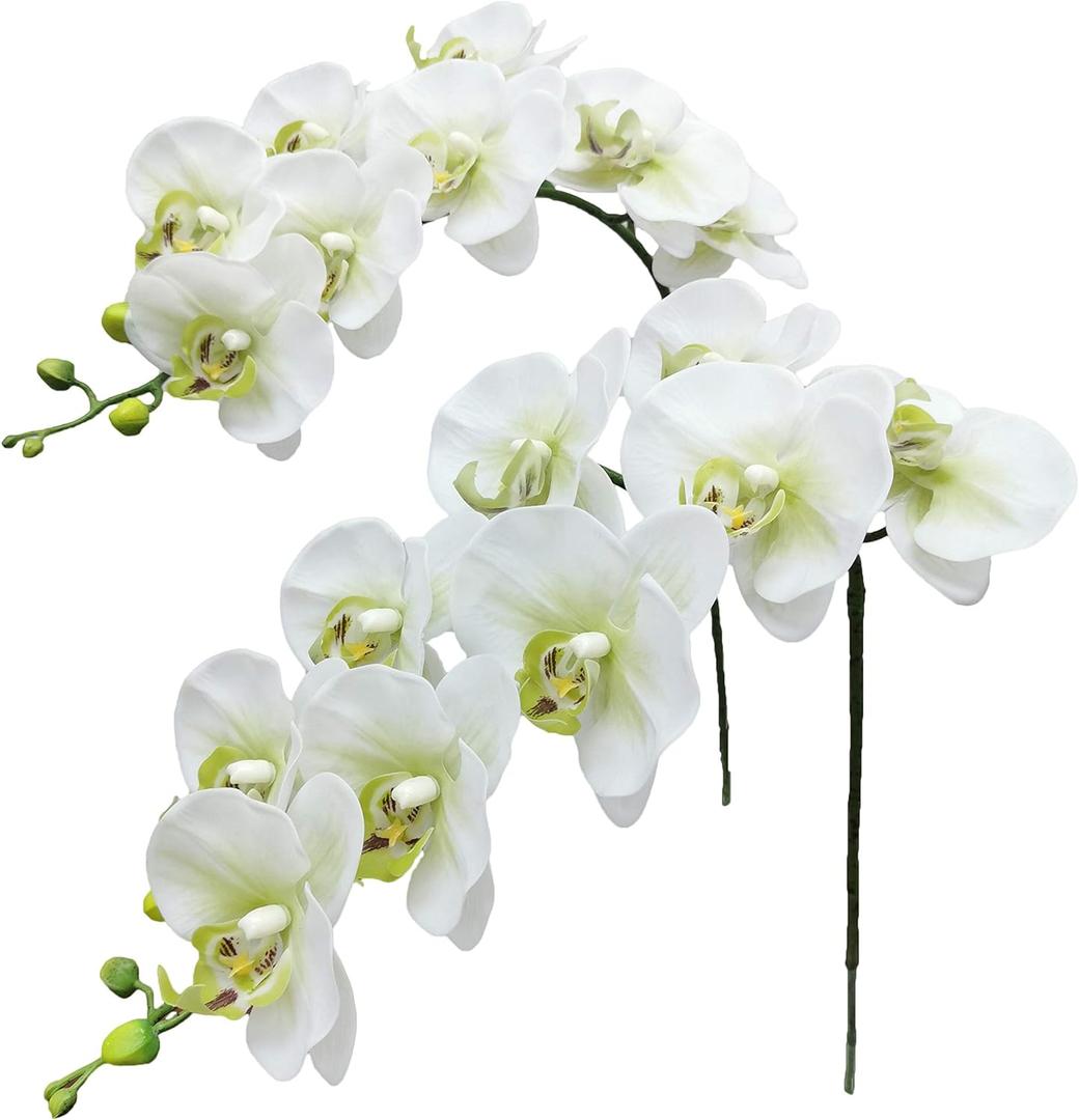 Fnize Faux Orchid Stems Real Touch Artificial Phalaenopsis Flowers Latex Petals 38 Inches 2pcs (Green White)