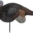 Primos Hunting Lil Gobstopper Jake Turkey Decoy Light-Weight, Collapsible Hunting Decoy 69074, Multi