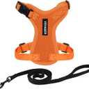 Voyager Step-in Lock Adjustable Cat Harness w. Cat Leash Combo Set with Neoprene Handle 5ft - Supports Small, Medium and Large Breed Cats by Best Pet Supplies - Orange, XS (XS (Chest: 13 - 16" * Fit Cats))