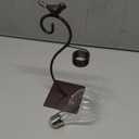 Marbrasse Desktop Glass Planter Hydroponics Vase,Planter Bulb Vase with Holder for Home Decoration,Modern Creative Bird Plant Terrarium Stand, Scindapsus Container (Bulb Vase)