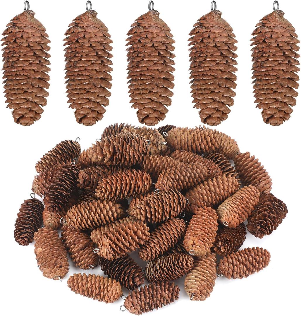 50 Pieces Natural Hanging Pine Cones with Claw Nails Christmas Snow Pine Cones Crafts Rustic Fall Garland Large Halloween Thanksgiving Decorations Christmas Tree Fall Ornaments for DIY