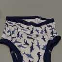 BIG ELEPHANT Toddler Training Pants, Soft Cotton Absorbent Training Underwear for Baby Boys & Girls (4T, Blue Dinosaur 10 Pack)