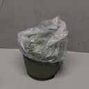 Crock-Pot Portable Electric Lunch Box 20-Ounce Food Warmer Moonshine Green | Ideal for Travel On-the-Go | Keeps Food Spill-Free Warm & Tasty | Dishwasher-Safe