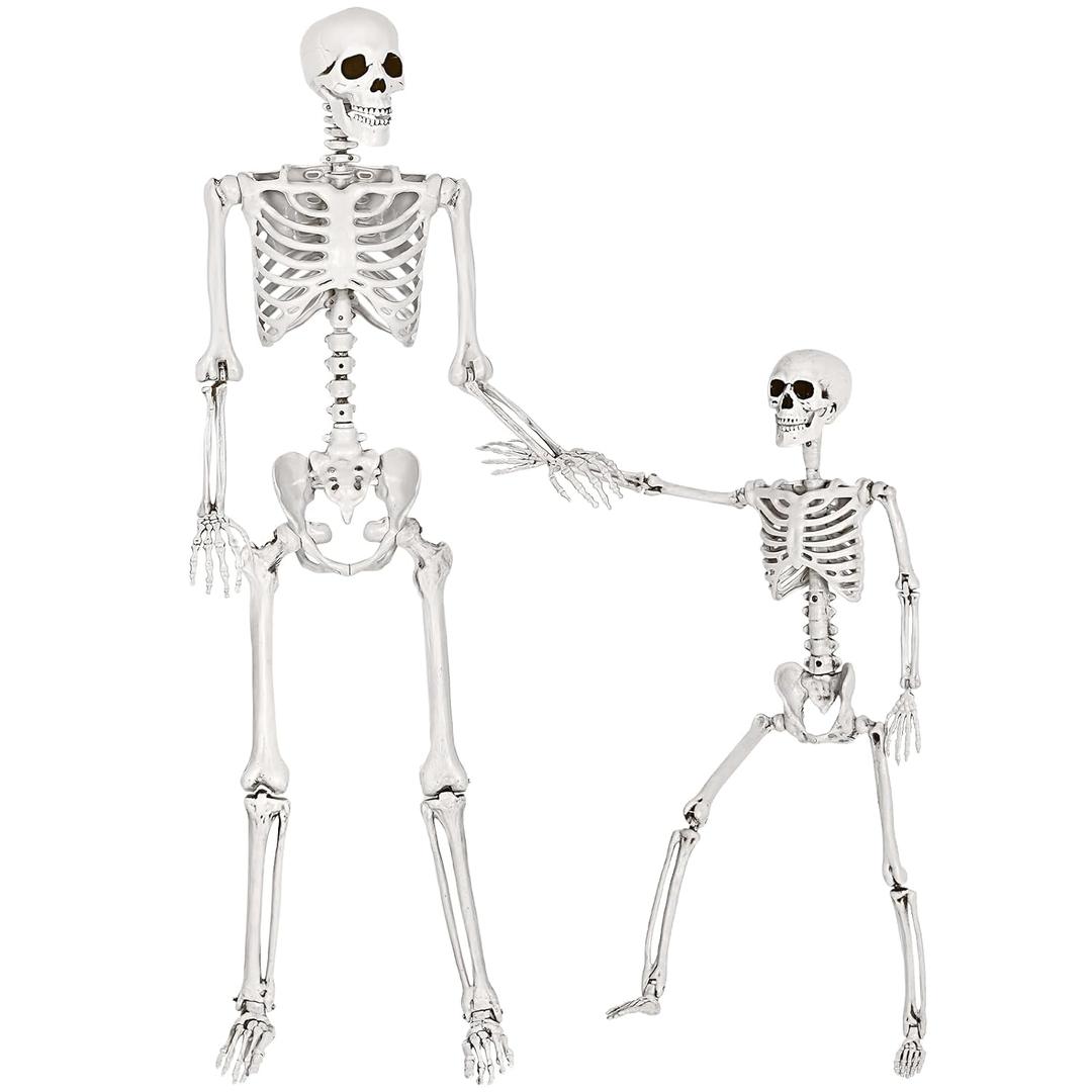 Letapapa 5.4 Ft & 3 Ft Halloween Skeleton Decorations, 2 Packs Halloween Life Size Full Body Human Bones with Movable Joints for Holora Buddeor Halloween Decorations Haunter