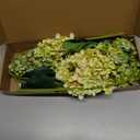 IPOPU Green Hydrangea Artificial Flowers 3 Stems Fake Hydrangeas Silk Flowers Realistic Vintage Faux Hydrangeas for Wedding Bouquets for Bride Baby Shower Centerpieces (Green)