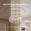 KARTOOSH Gold Chandelier Kitchen Pendant Lighting Over Island, 12.2 in