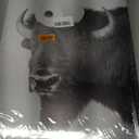 Funny Bison Bathroom Wall Art - 3 Piece Black and White Buffalo on Toilet Canvas Prints, Humorous Animal Pictures for Restroom Decor, 16x24 Inch Framed, Unique White Elephant Gift
