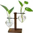 XXXFLOWER Plant Terrarium Wooden Stand 2 Love Bulb Vase+Glass Mushroom Propagation Planter